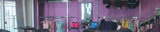 DANCEWORKS directory item